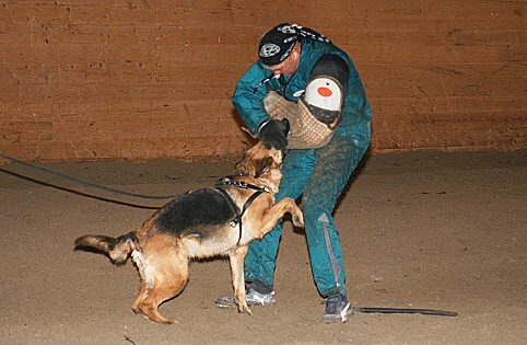 Training in Estonia 3/2007